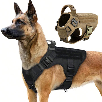 Military Dog Harness for Powerful Breeds