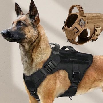 Military Dog Harness for Powerful Breeds